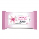 Lactacyd All Day Care - Feminine Wipes (แผ่นเช็ดทำความสะอาด แลคตาซิด ออล เดย์ แคร์ เฟมินีน ไวพส์)