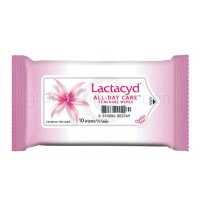 Lactacyd All Day Care - Feminine Wipes (แผ่นเช็ดทำความสะอาด แลคตาซิด ออล เดย์ แคร์ เฟมินีน ไวพส์)