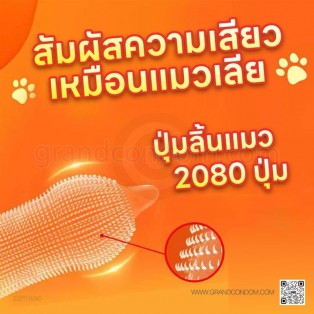 ถุงยางลิ้นแมว olo Cat Tongue ถุงยางแบบหนาม (1 กล่อง 10 ชิ้น)