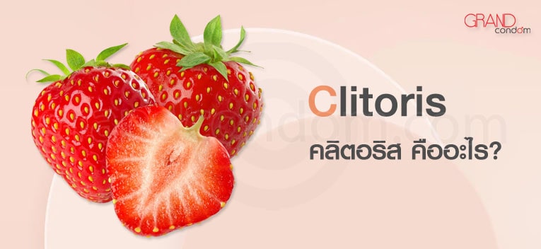 คลิตอริส คืออะไร อยู่ตรงไหน กระตุ้นยังไง?
