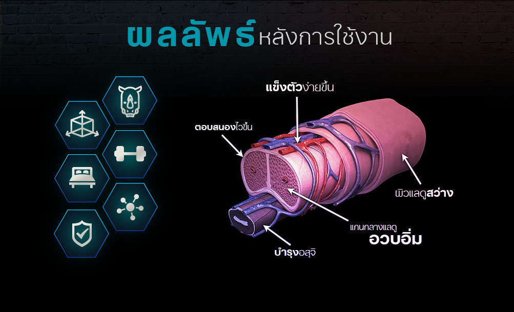 genesis เจเนซิส